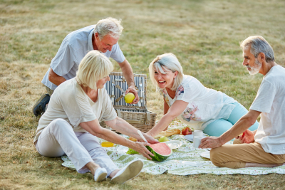 group of seniors having a picnic